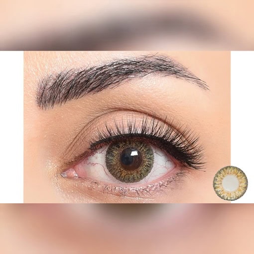 لنز فستیوال مورنینگ رنگ پیور هیزل - Image 2