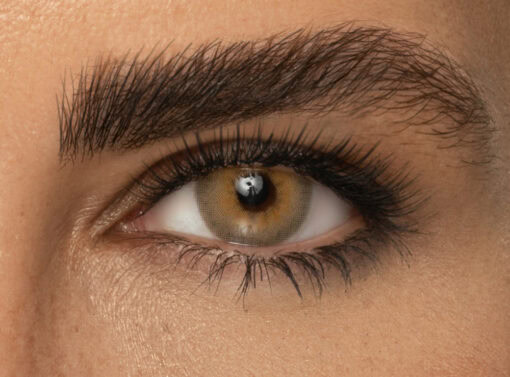 لنز عسلی دور دار Sahara - Image 2