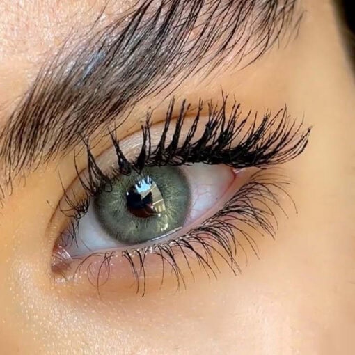 لنز سلنا رنگ دیم گری - Image 2