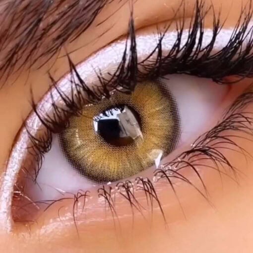 لنز سلنا رنگ اسموکی - Image 3